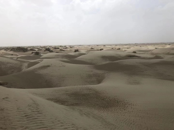 深圳法律顧問說法:審理死亡賠償金案件時應注意的三個主要問題