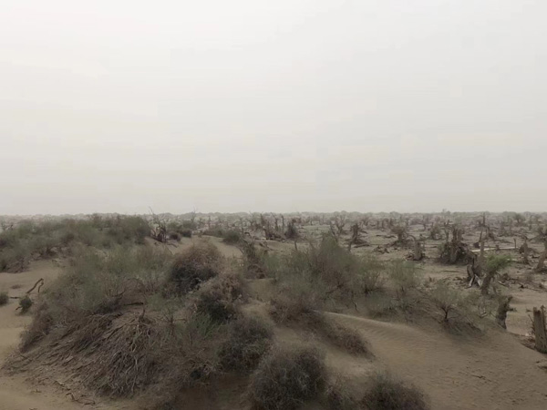 虐待罪案例解析:深圳法律咨詢網教您如何判斷行為是否構成虐待罪?