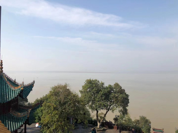 深圳醫療糾紛知名律師來講講甲狀腺手術醫療事故賠償的法律案例和法律法規分析