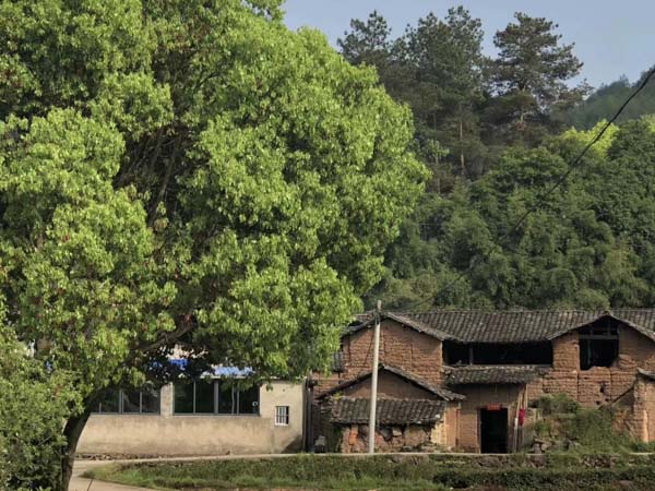 深圳知名刑事律師來(lái)講講盜竊信用卡的行為如何定性