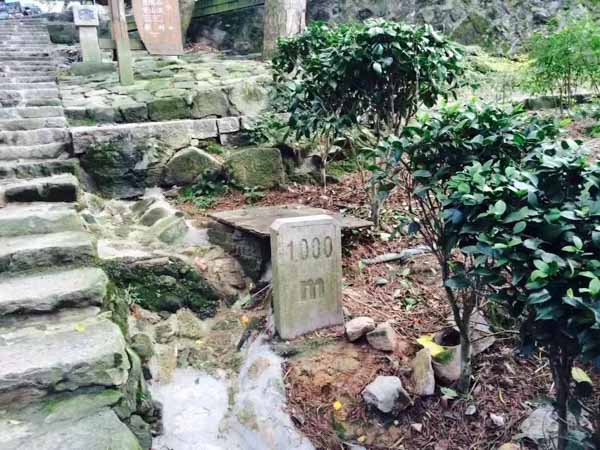 醫(yī)療事故鑒定輕微責(zé)任賠付金額是多少?深圳十佳律所為您講解