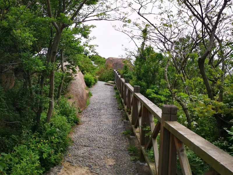 深圳繼承律師為您梳理有關(guān)繼承編案例簡析