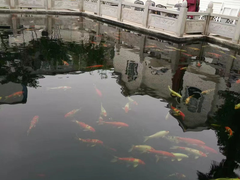 深圳知名婚姻律師告訴您簽了關于離婚財產協議后能反悔嗎?