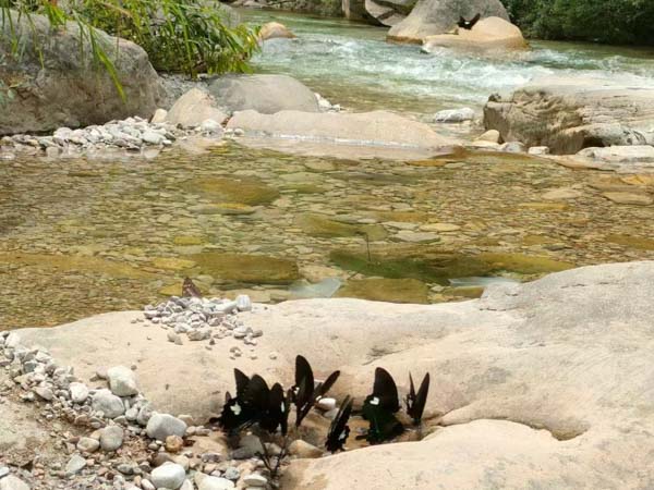 深圳債務追討律師告訴您借款方主張爭議款項系雙方共同花銷沒證據怎么辦