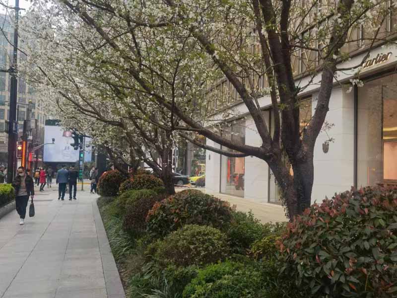 深圳債務律師為您解答債務人沒有財產是否需要繼續起訴