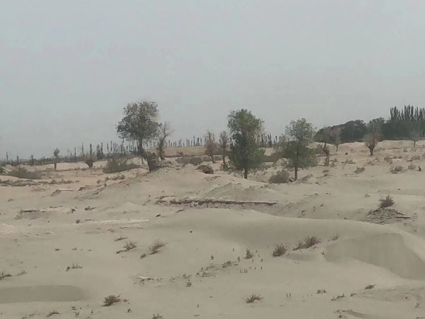 子女如何繼承父母的遺產(chǎn)?深圳遺產(chǎn)律師:不要爭(zhēng)了,最新繼承法出來(lái)啦!