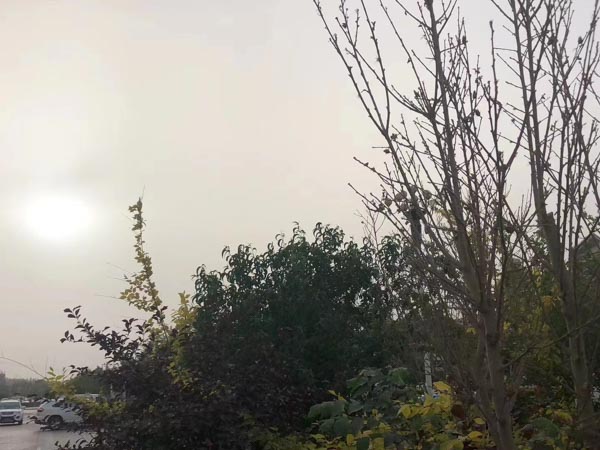 深圳刑事律師咨詢網來講講貪污賄賂罪的刑事責任與刑罰