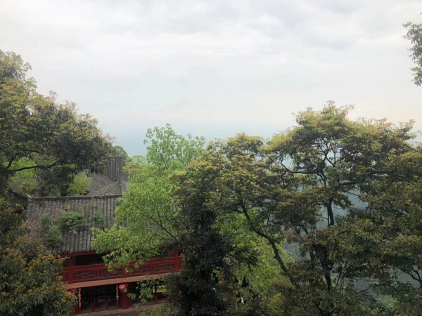 鹽田區律師在線解答:繼承人以外的人可否要求分配遺產?