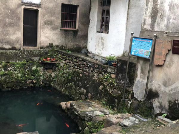 深圳醫療律師來講講醫療損害案件的審判人員能否進行醫療鑒定