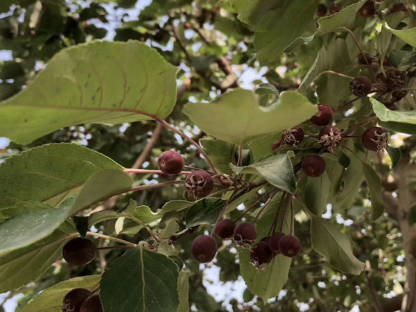 借款合同問題怎么解決?深圳借款合同糾紛律師告訴你