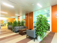 坪山?坑梓律師如何應對員工不辭而別