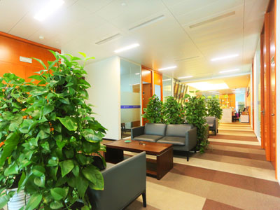 深圳刑事案件律師